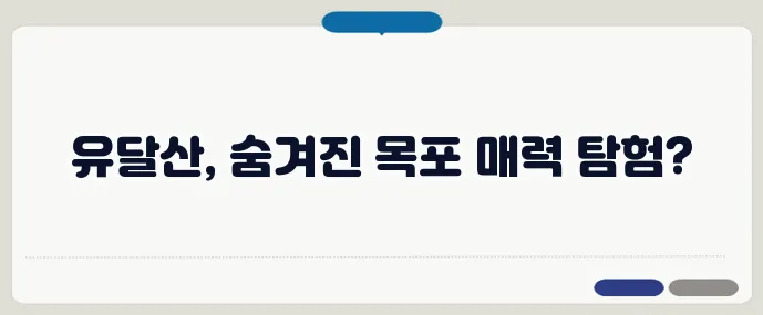 목포 유달산 주변 여행지 추천