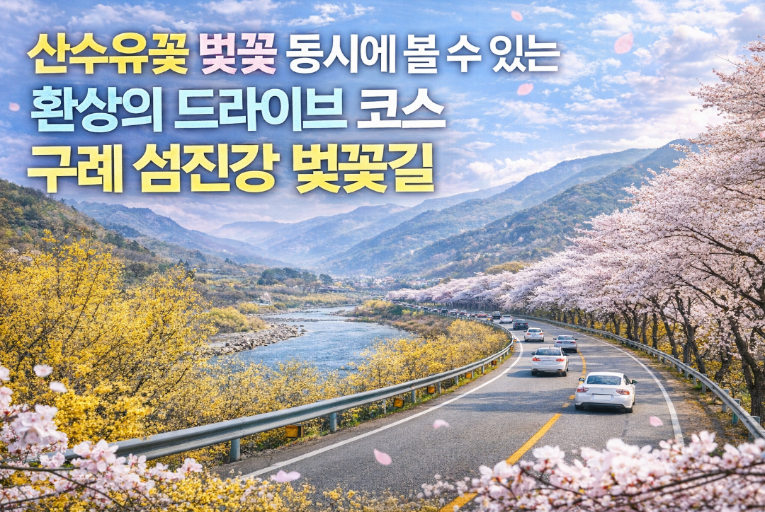 구례 섬진강 벚꽃길, 산수유와 벚꽃 동시에 즐기는 드라이브 코스
