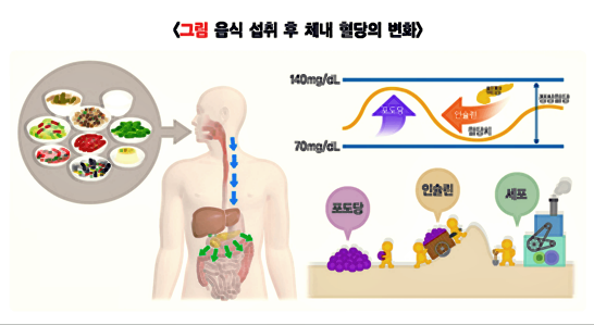 혈당변화-이미지