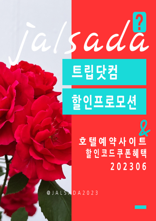 트립닷컴 6월 프로모션코드 국내호텔 서울, 부산, 제주도 여행 수영장 인피니티풀 4만원대~ 아미 몰려온다