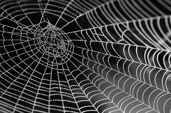 영화와 애니메이션에서 거미 캐릭터가 주는 심리적 메시지