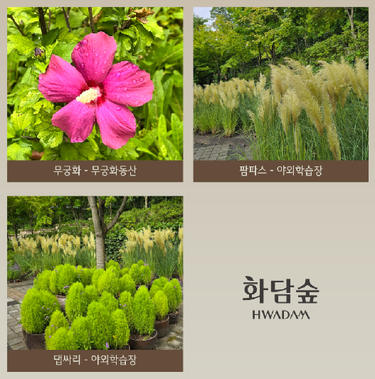 출처 : 화담숲 홈페이지16