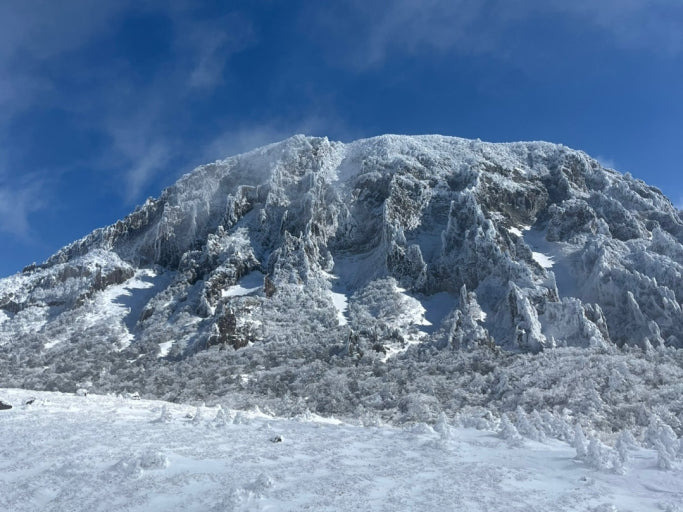 한라산눈꽃버스 운행 한라산 겨울 여행