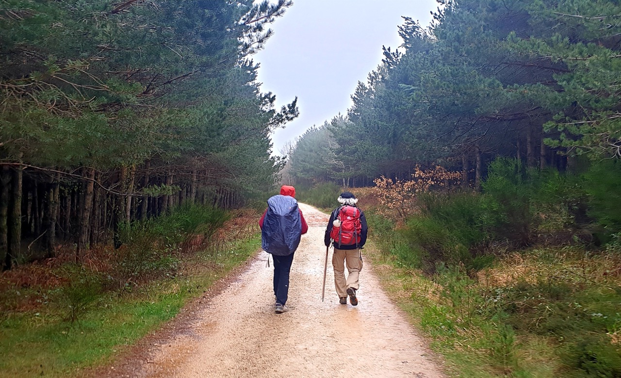 산티아고 순례길 걷기