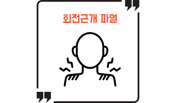 회전근개 파열 모습