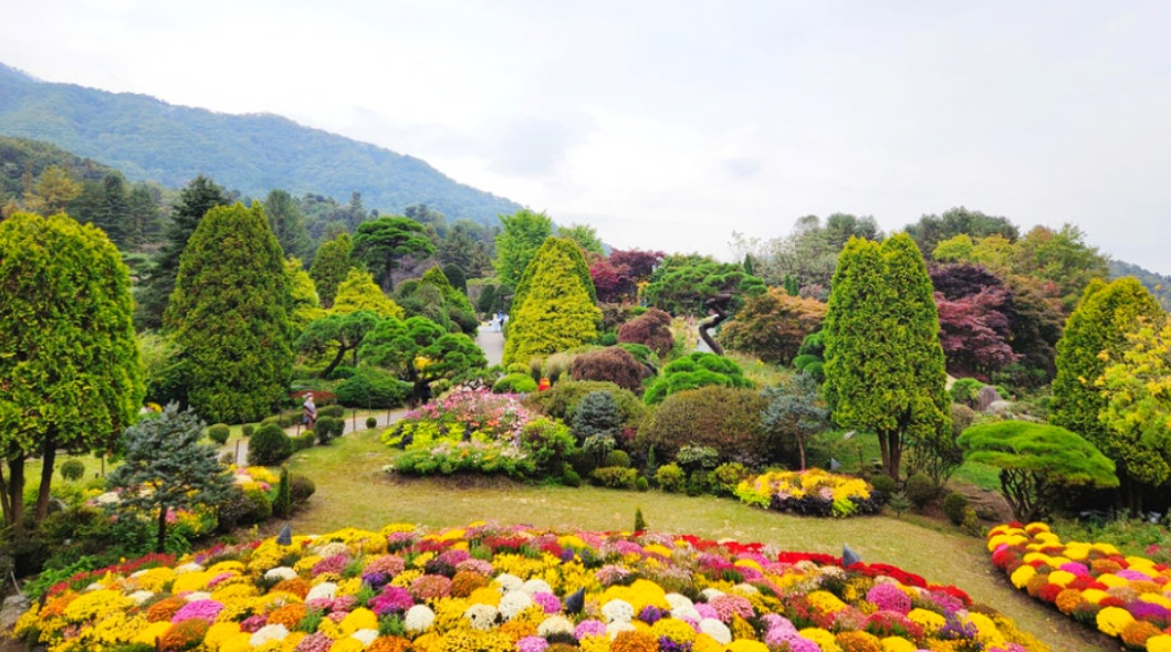 가평 아침고요수목원