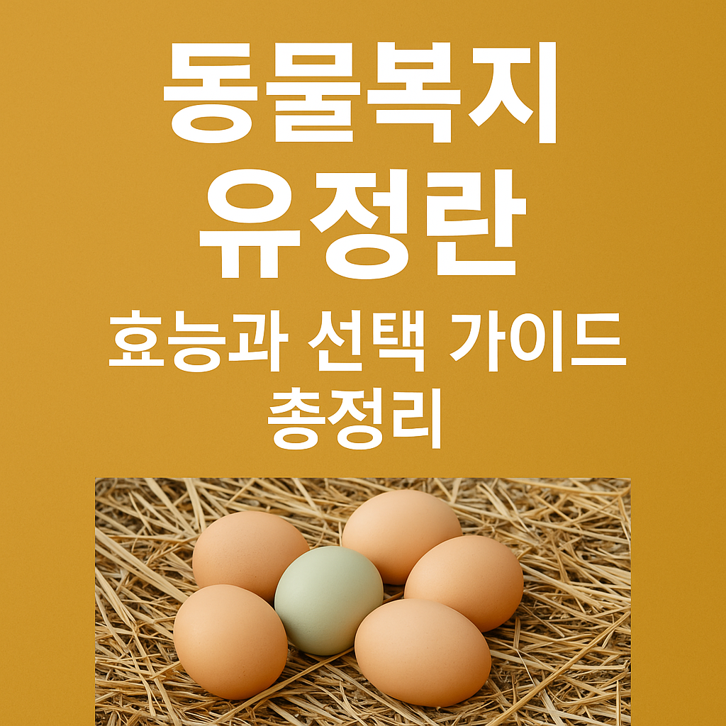 동물복지 유정란 효능과 선택 가이드 총정리