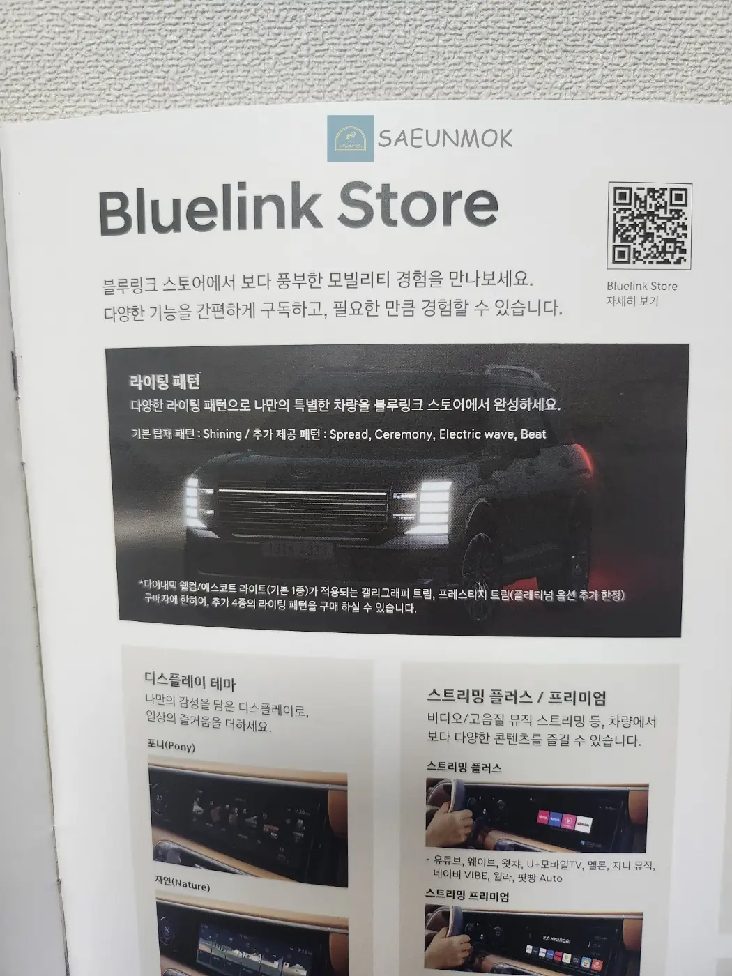 디올뉴-팰리세이드-라이팅-구독