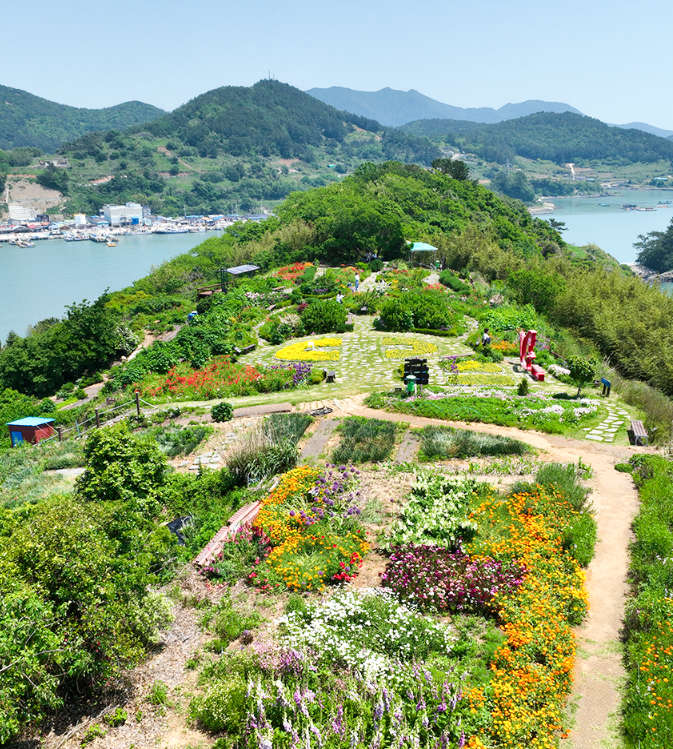 전남 고흥 쑥섬 수국 여행, 섬 전체가 수국 정원인 곳