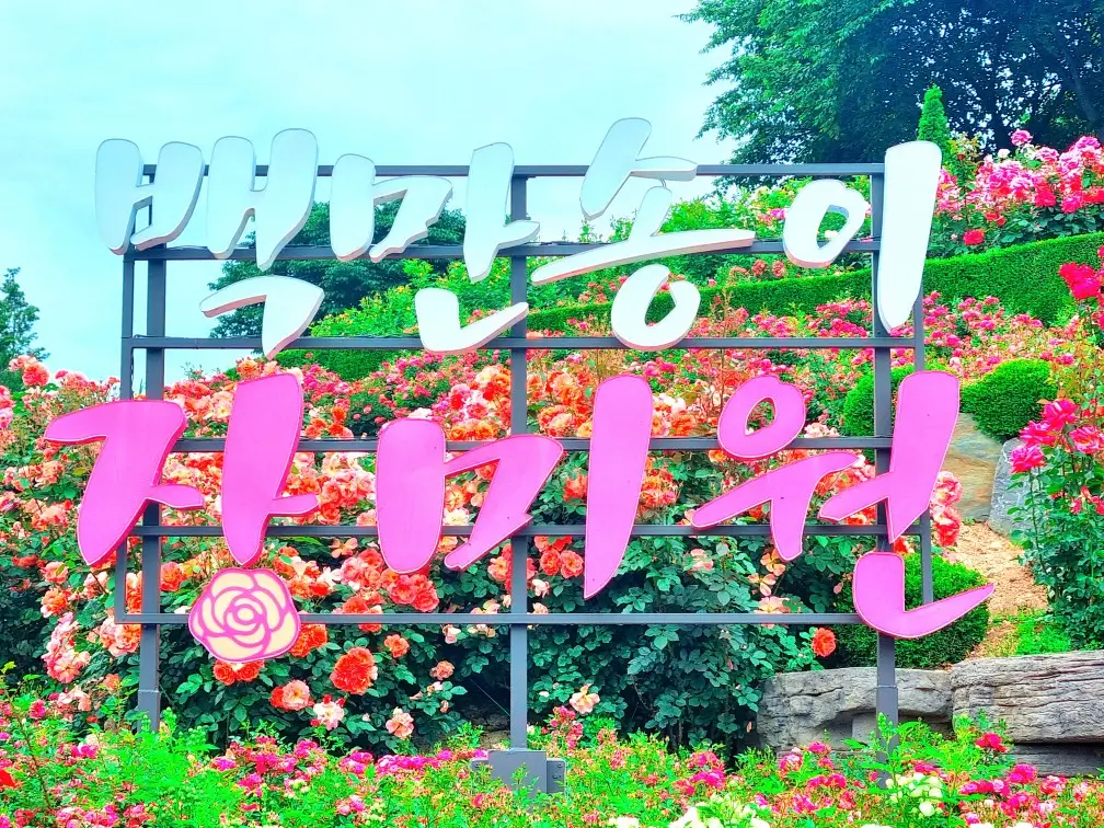 2024 부천 백만송이 장미원 축제 중: 개화 현황, 포토존, 쉼터, 화장실, 주차, 대중교통