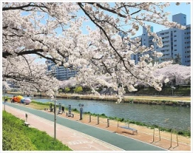 2026 진해군항제 일정