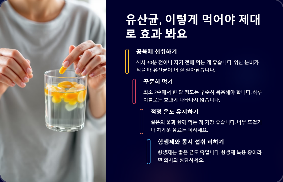 장 건강을 위한 유산균 선택법, 올바른 복용 가이드