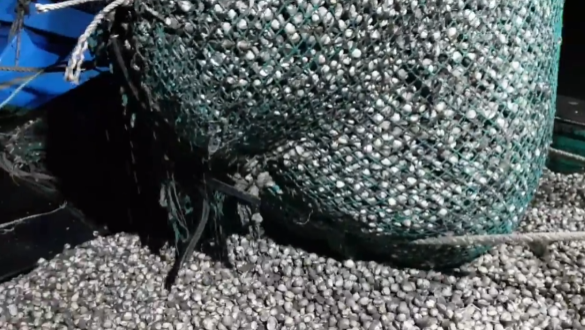 생방송투데이 꼬막 전남 보성 벌교꼬막