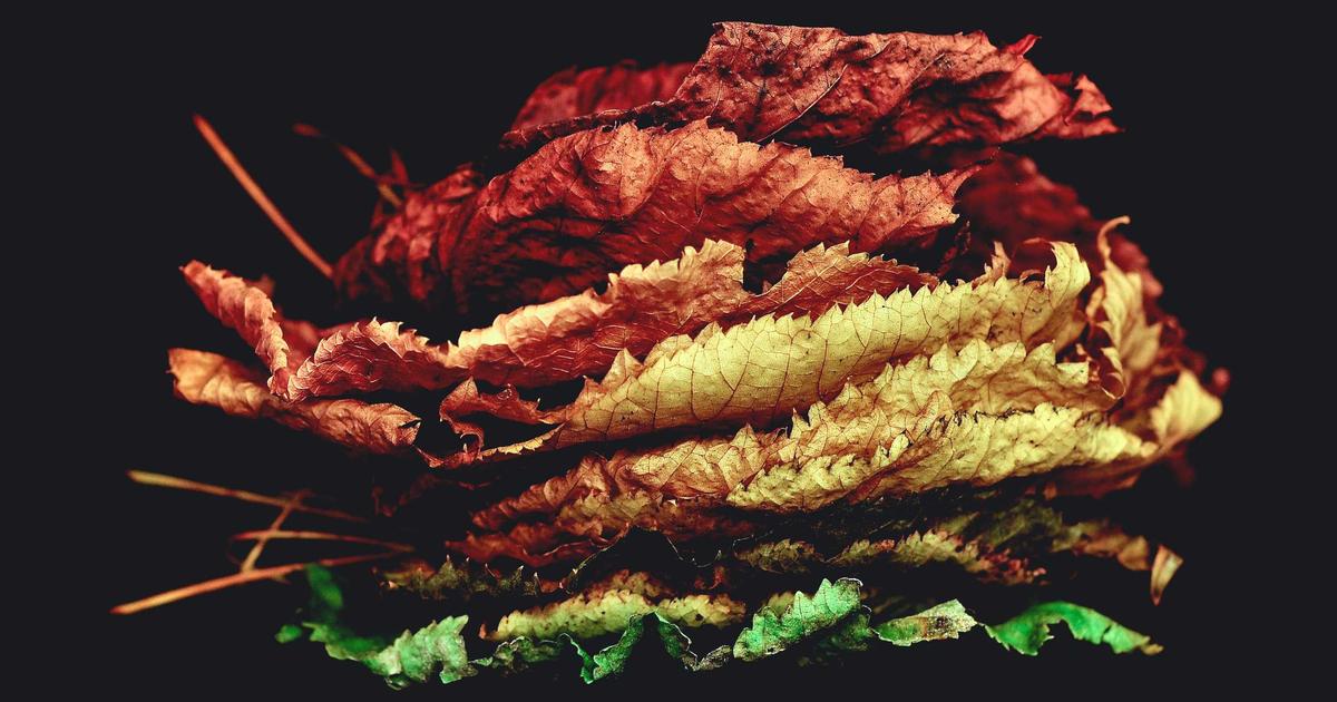 person meditating at sunrise with a laptop nearby, serene morning light