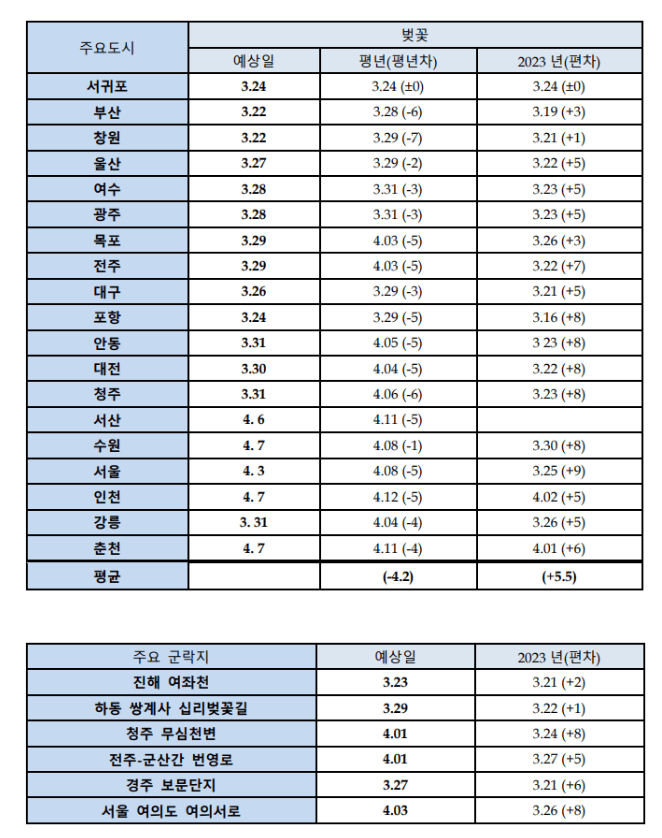 2024년 벚꽃 개화시기 만개시기 꽃세권 꽃놀이 꽃구경 (개나리, 진달래 개화시기)