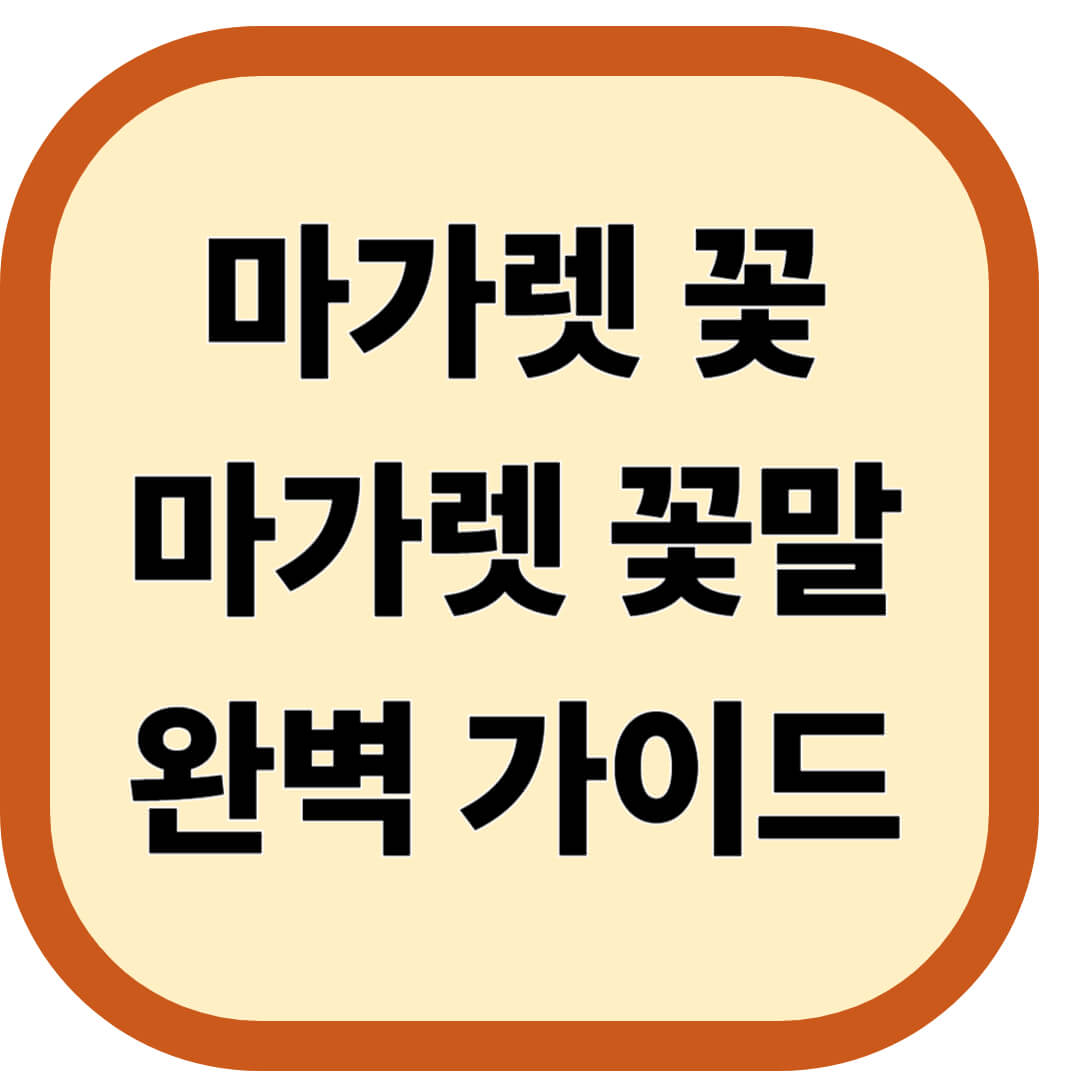 마가렛 꽃, 마가렛 꽃말