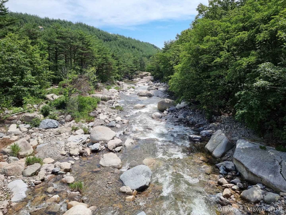 고성 도원리계곡