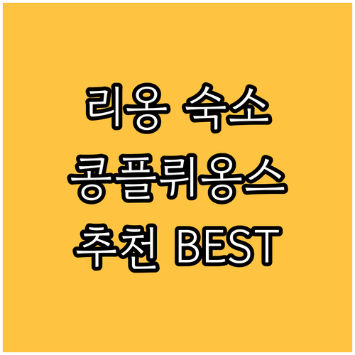 리옹 여행 숙소 추천 콩플뤼옹스 박물