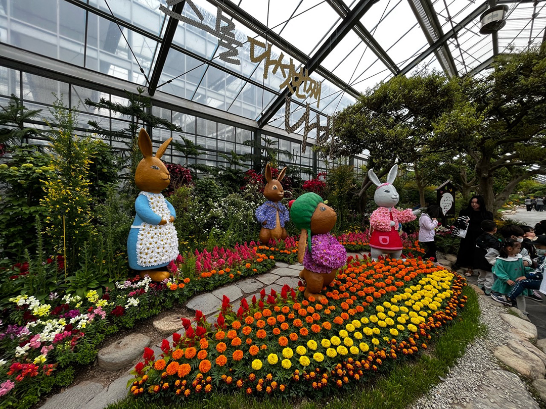 함평나비축제 이미지