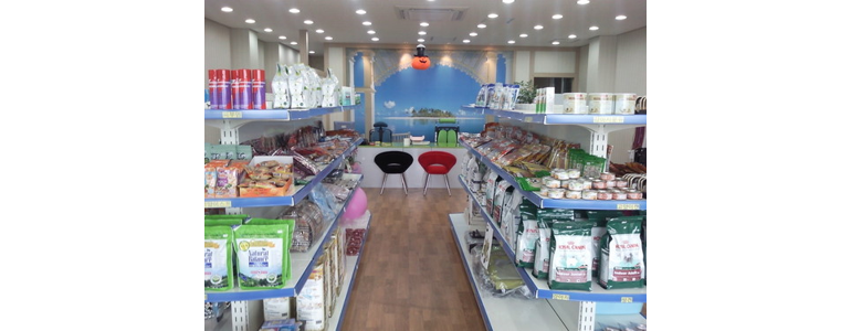 속초시 동물병원