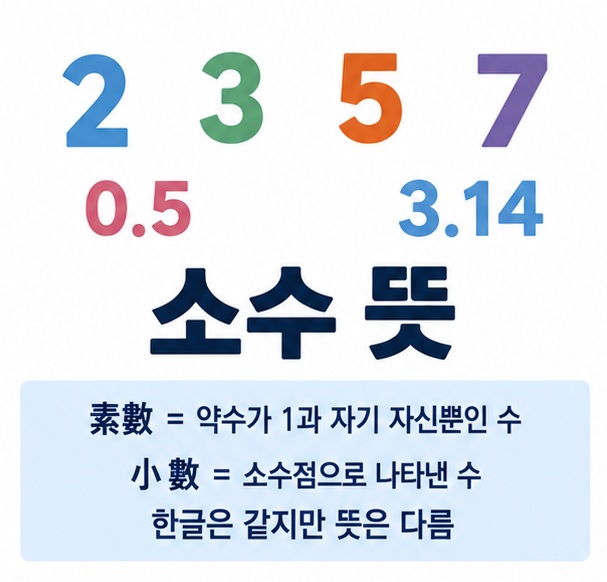 소수 뜻과 소수 素數 소수 小數의 차이를 약수와 소수점 개념으로 보여주는 수학 교육용 이미지