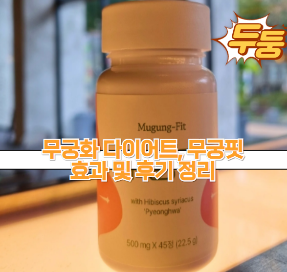 무궁화 다이어트, 무궁핏 효과 및 후기