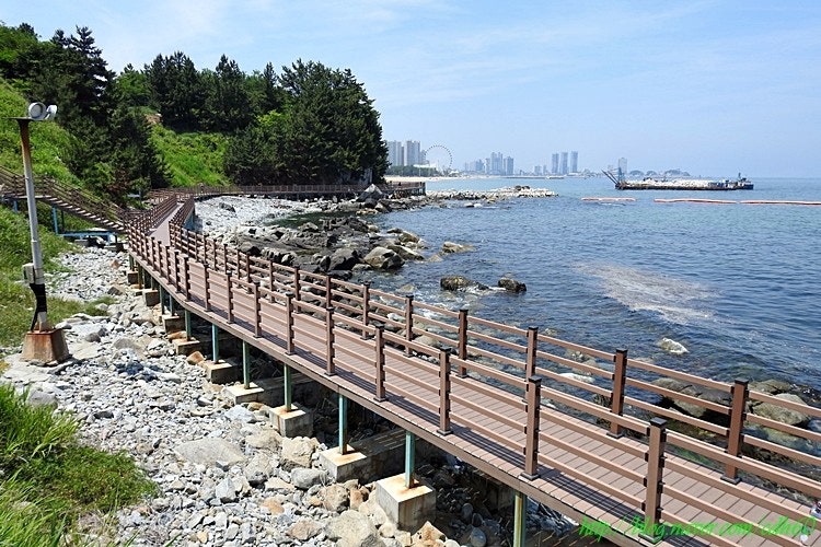 외옹치 바다향기로