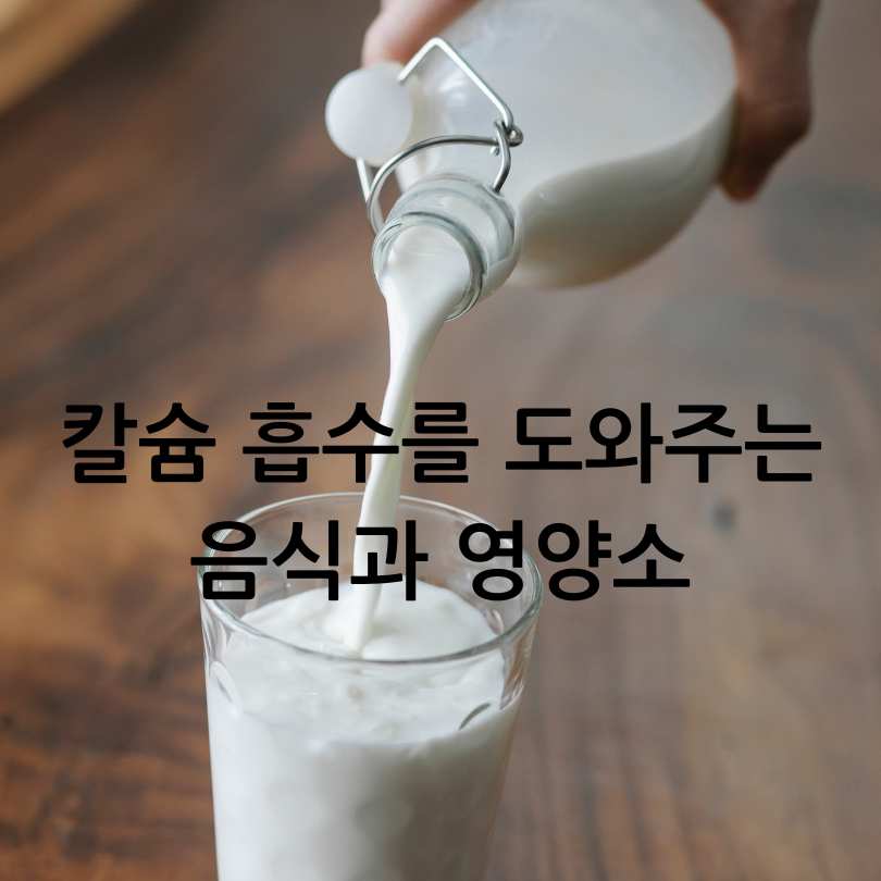 칼슘흡수를 도와주는 음식,흡수율 높이는방법