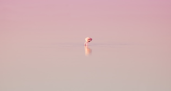 보건증 검사항목 쉽게 정리 9