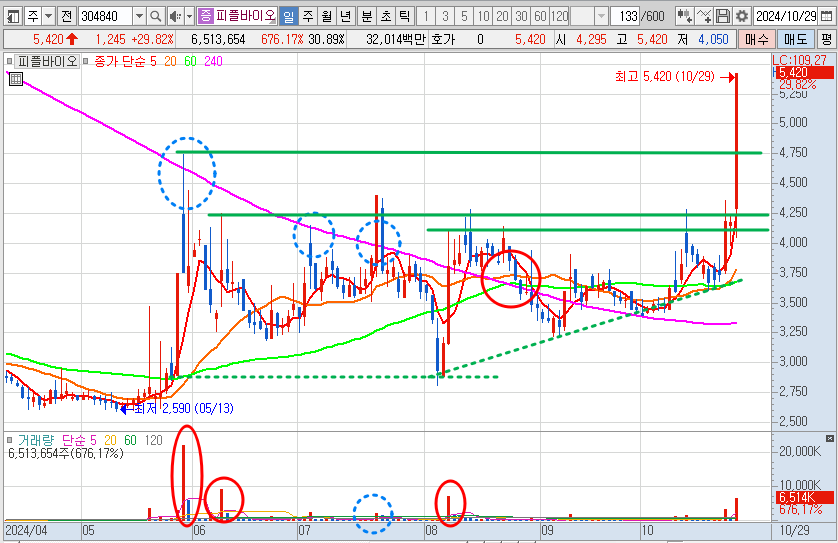 피플바이오 일봉 차트 분석