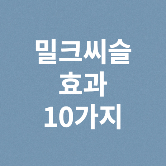 밀크씨슬 효과