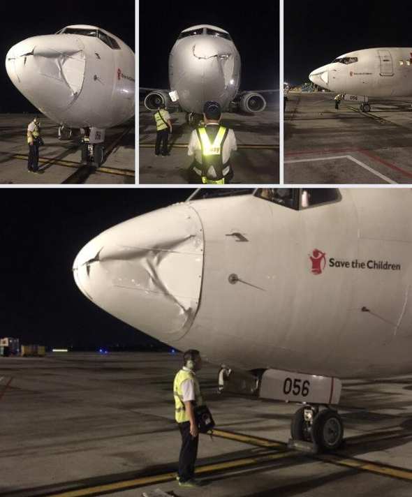 버드스트라이크 - 항공기 사고의 원인