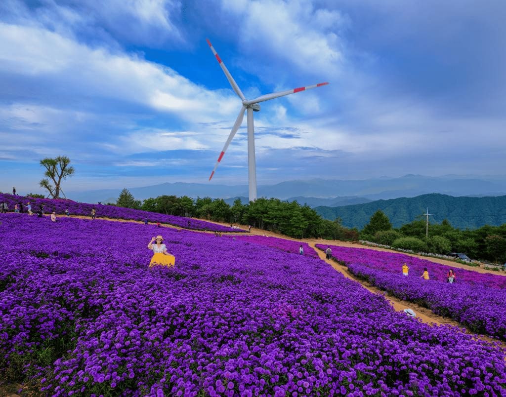 거창 별바람언덕