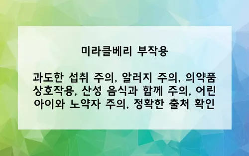 미라클베리 부작용