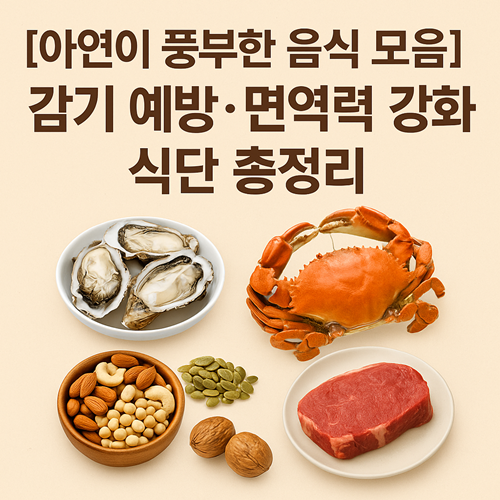 아연이 풍부한 음식 모음