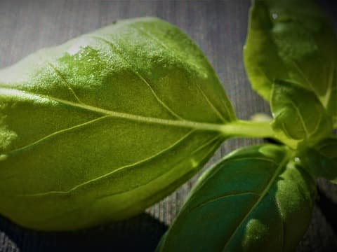 염증 감소에 도움을 주는 바질