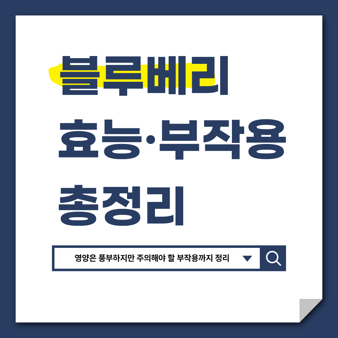 블루베리 효능 부작용