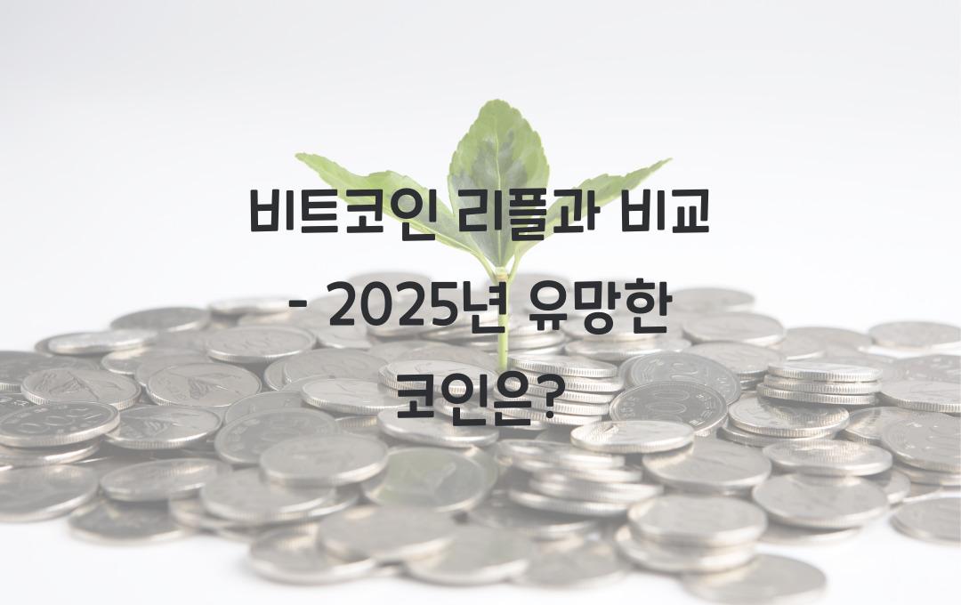 비트코인 리플과 비교 – 어떤 코인이 더 유망할까?