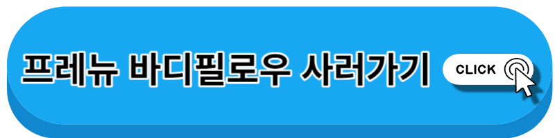 임산부바디필로우
