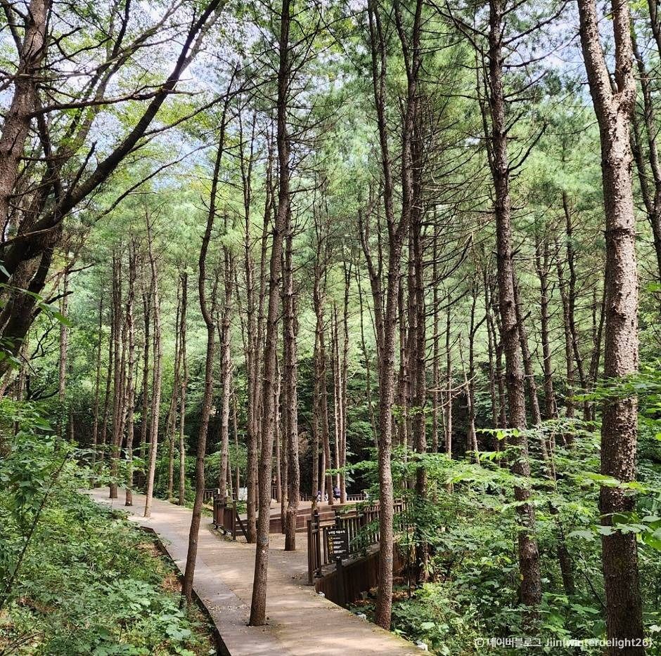 의왕 가볼만한곳 베스트10