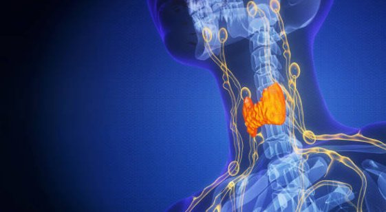갑상선 기능 항진증 증상, 수치, 검사 총정리 (2024ver)
