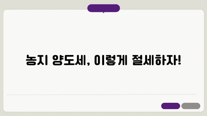 농지 양도세 감면조쫄