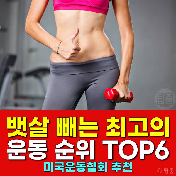 뱃살 빼는 최고의 운동 뱃살빼는운동