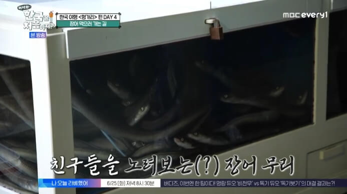 여수-장어-식당