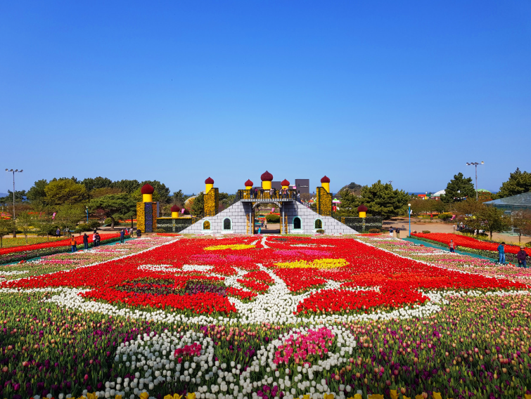 생방송투데이 태안 3GO여행 태안세계튤립꽃박람회 독살체험 우럭젓국 간장게장 꽃지해수욕장 낙조