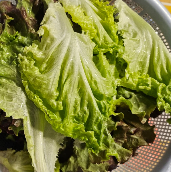 바베큐-곁들일 음식-상추