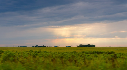 우루과이의 '숲에서 춤': 초능력을 얻을 수 있는 춤의 의식