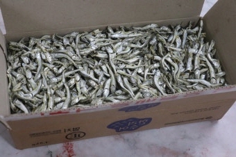 멸치 효능 부작용