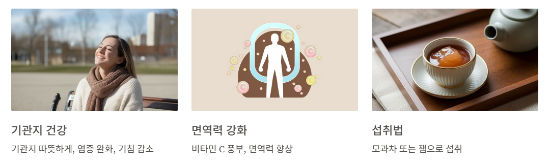 모과 효능