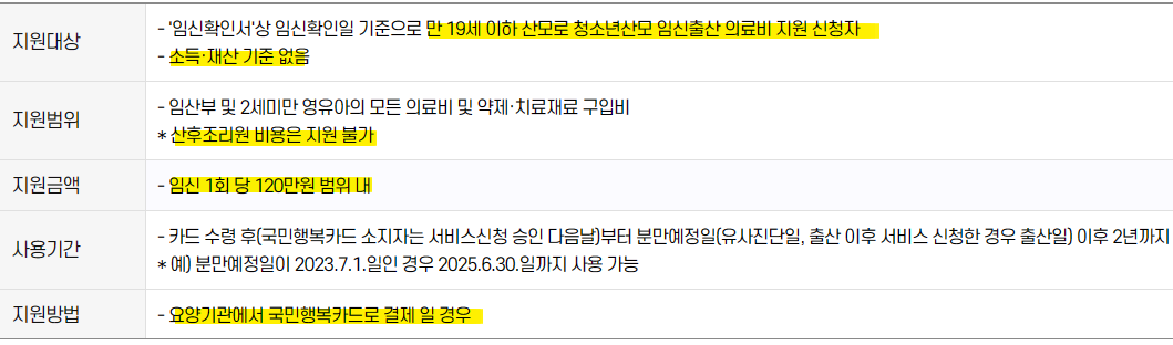 청소년 산모 임신 출산 의료비 지원1